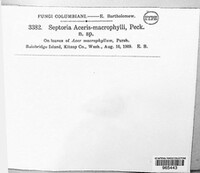 Image Associated With the Occurence